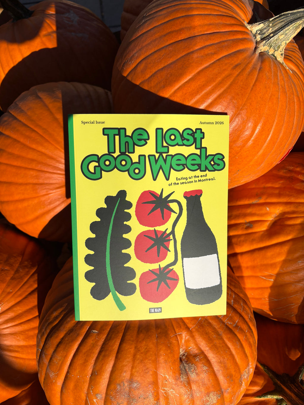 The Last Good Weeks Zine