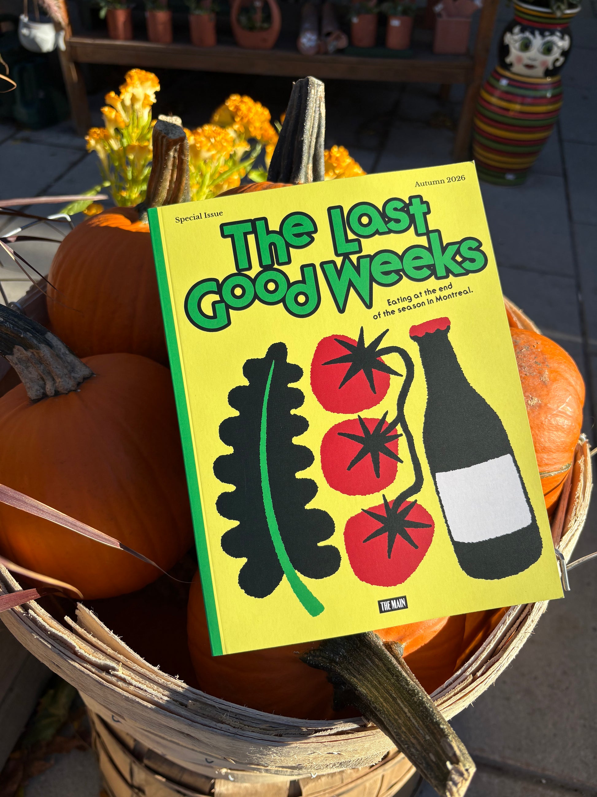 The Last Good Weeks Zine
