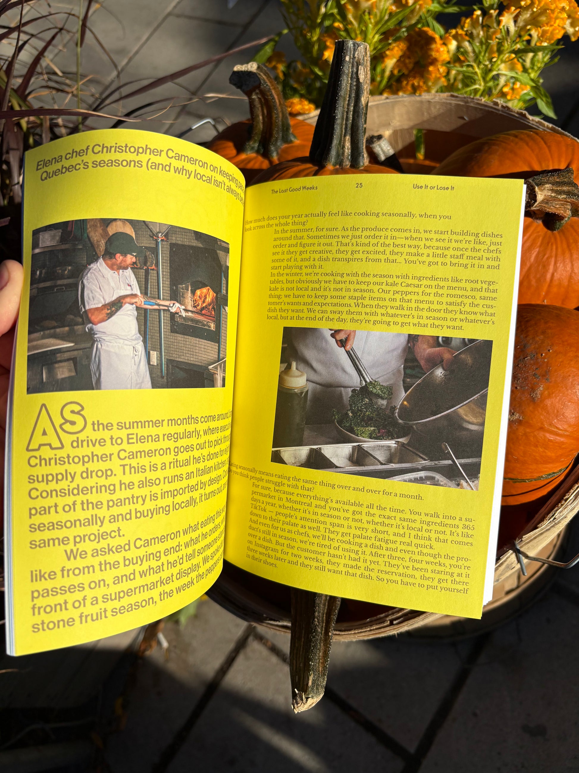 The Last Good Weeks Zine